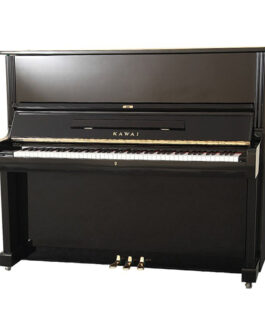 Kawai BL31