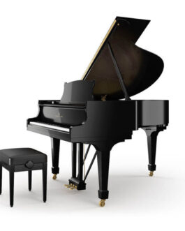 Steinway & Sons Model M331825